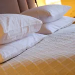 Hotel Ammende Restaurant And 5*