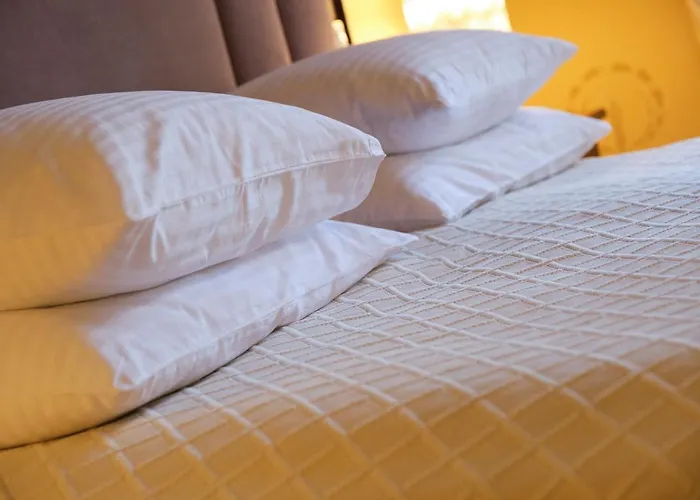 Hotel Ammende Restaurant&hotel 5*